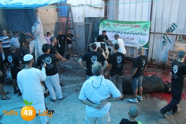 ada7y 116 n1 (47).JPG